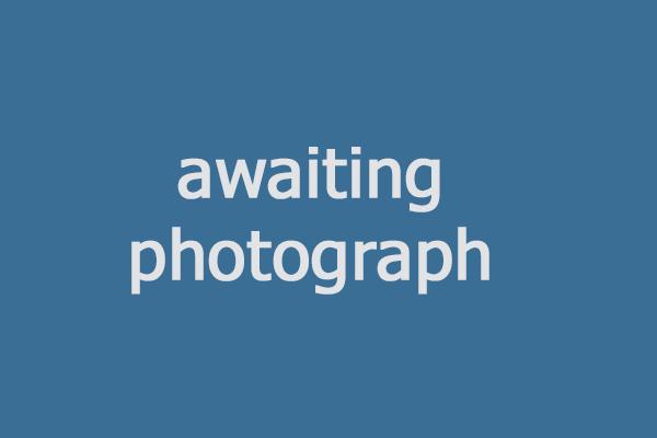 awaiting photo