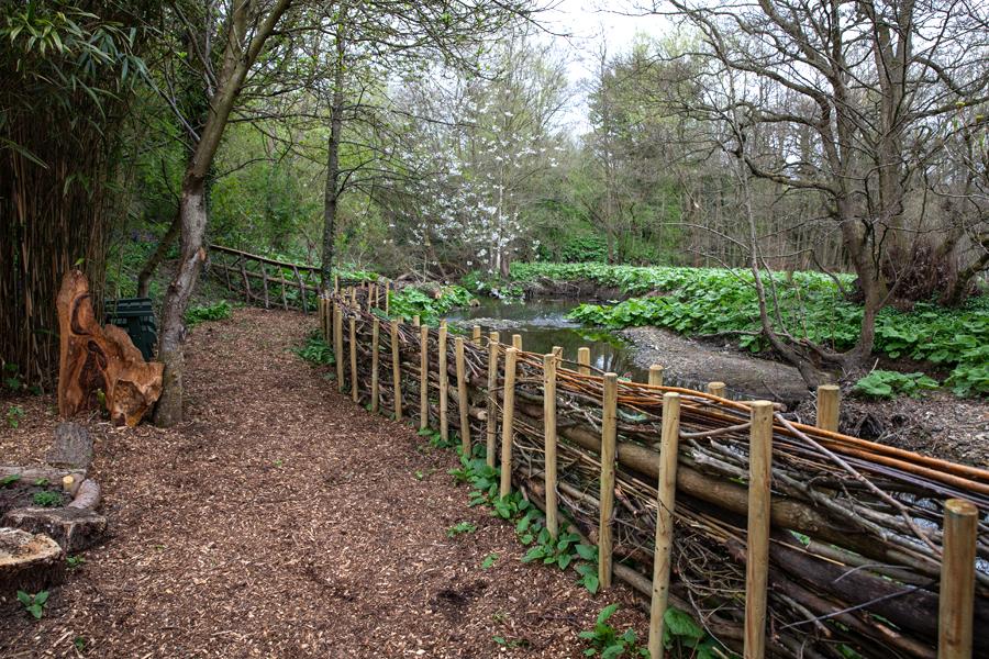 lionmouth woodland walk 800